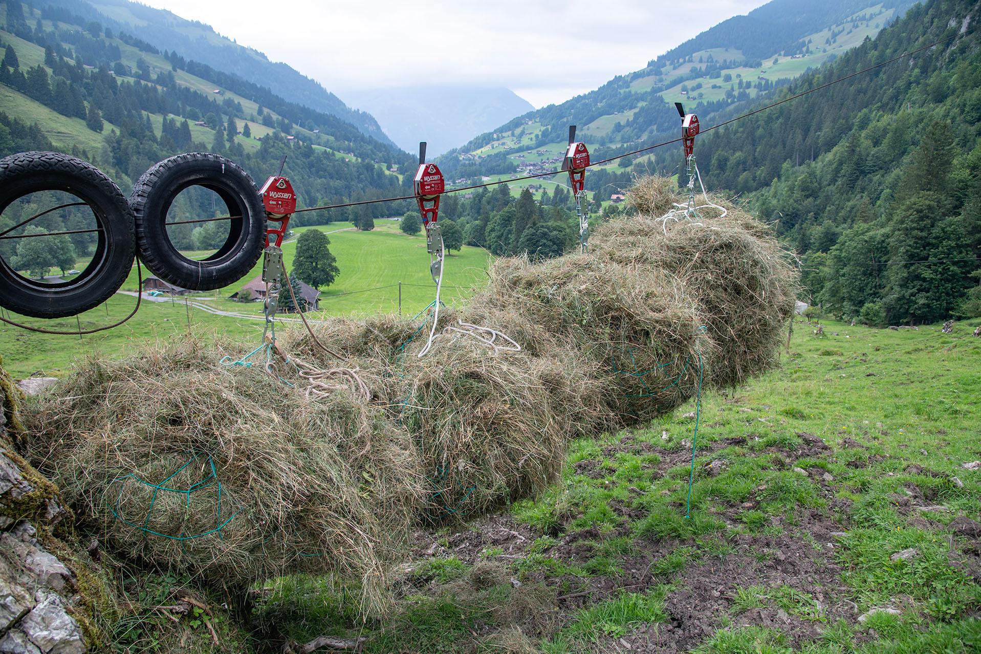 Wyssen Skymule use for haymaking