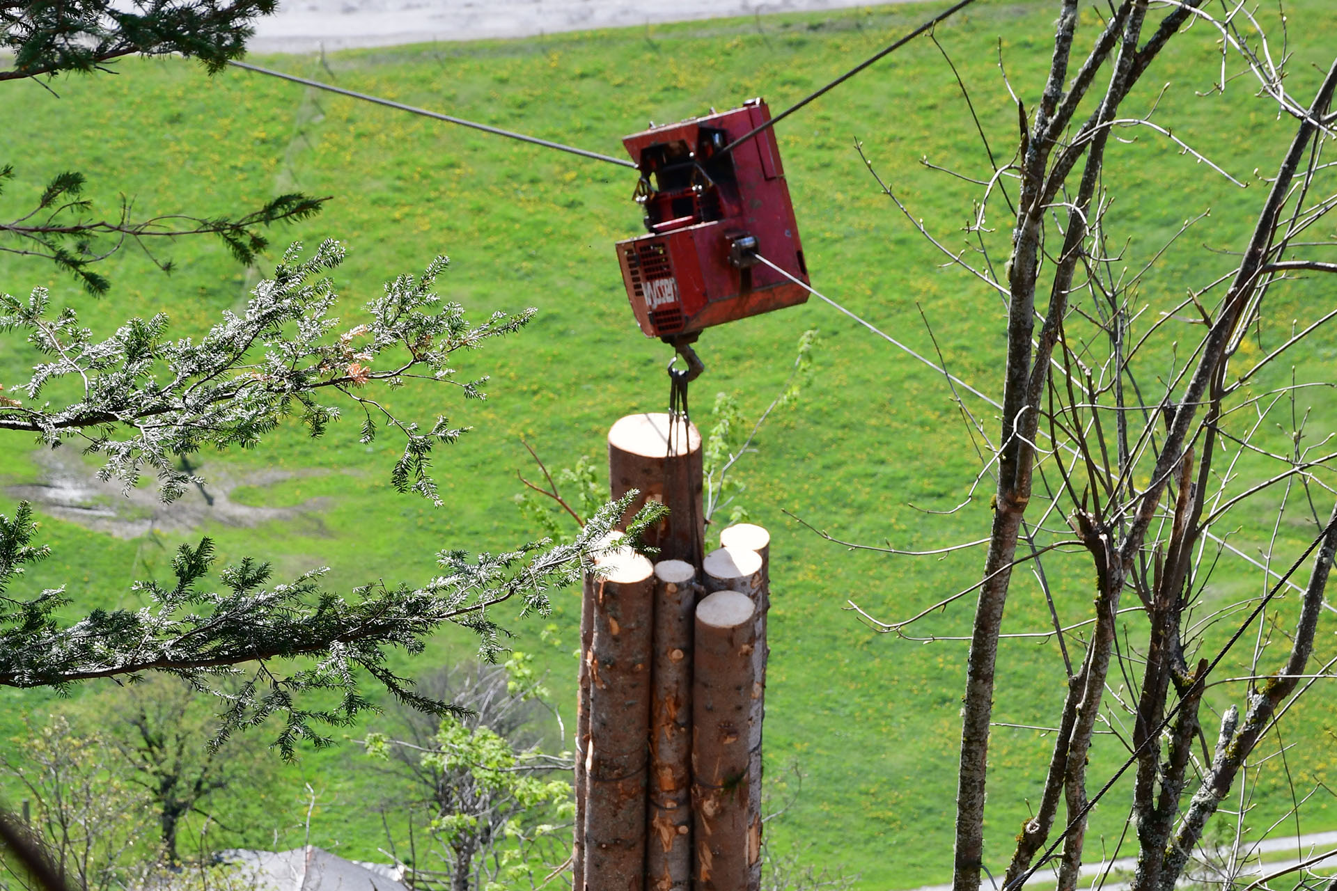 Wyssen Slackpuller în Brienz