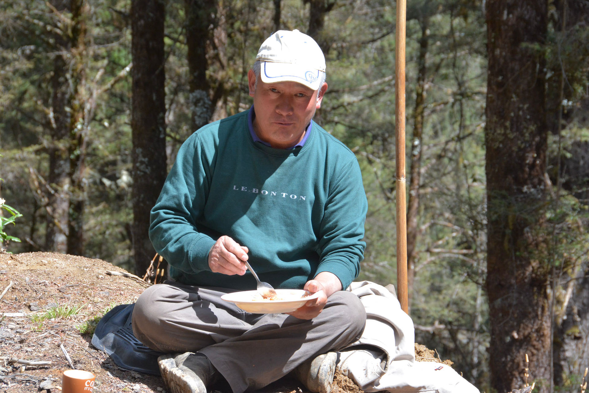 Mittagessen im Wald