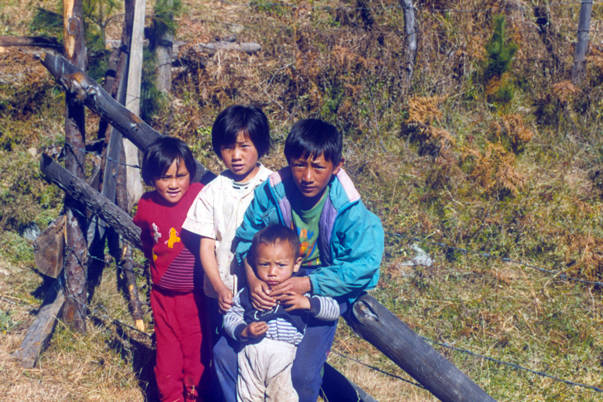 Nola's Kinder im Jahr 1995